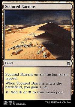 Scoured Barrens (Verlassene Ödnis)